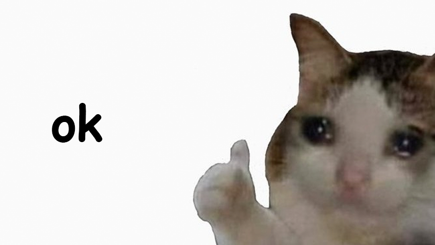 Thumbs Up Crying Cat $ok banner